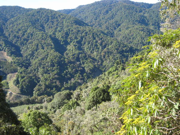 Near Sevegre