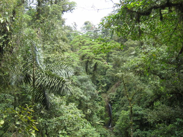 Arenal Hanging Bridges