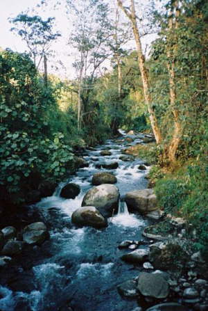 La Sevegre